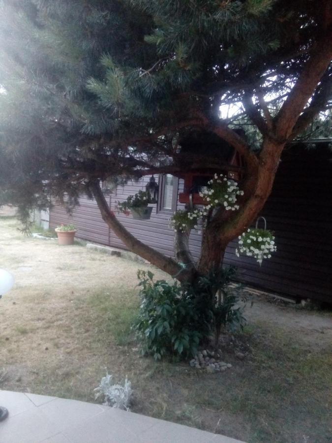 Appartamento Chabrowa Perla Jarosławiec Esterno foto